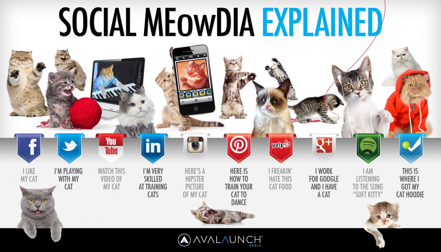 Featured image for “Using Cats to Explain Social Media”
