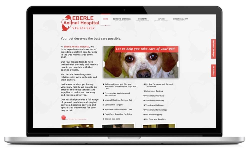 Featured image for “Eberle Animal Hospital”