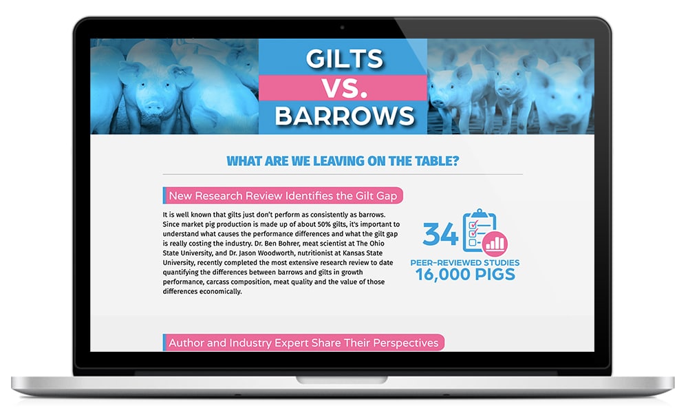 Featured image for “Gilt vs. Barrows”