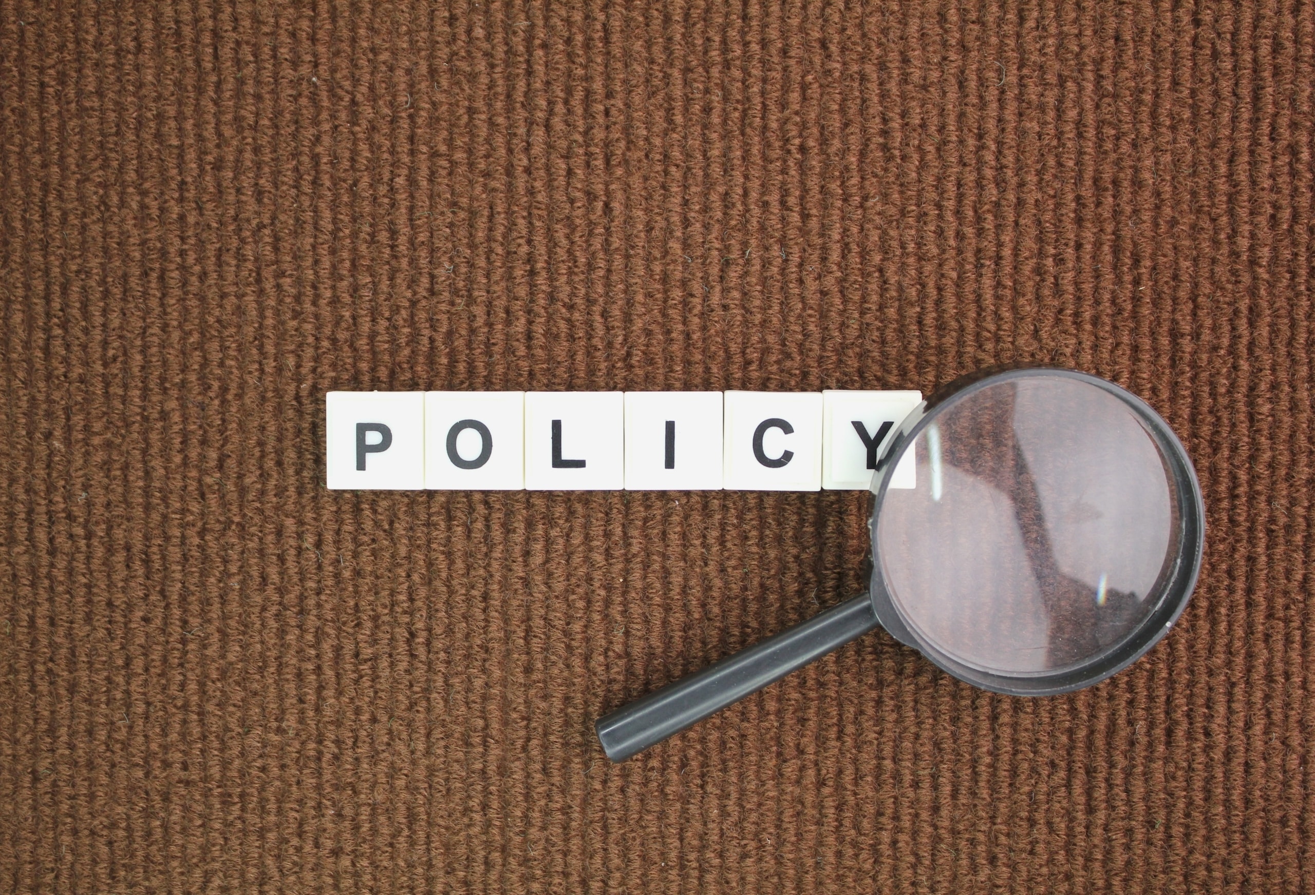 Featured image for “Understanding the Importance of a Privacy Policy for Small Business Websites”